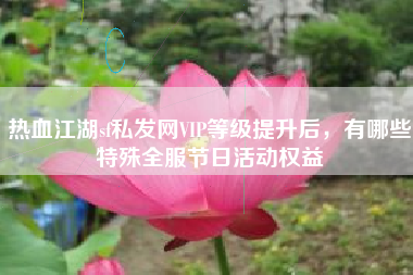 热血江湖sf私发网VIP等级提升后，有哪些特殊全服节日活动权益