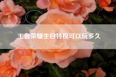 王者荣耀生日特权可以玩多久