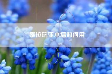 泰拉瑞亚木墙如何用