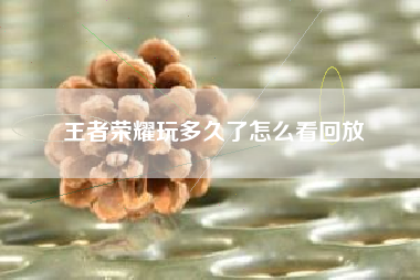 王者荣耀玩多久了怎么看回放