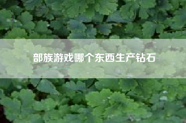 部族游戏哪个东西生产钻石