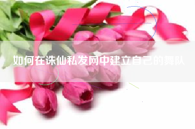 如何在诛仙私发网中建立自己的舞队