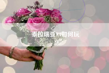 泰拉瑞亚1.4如何玩