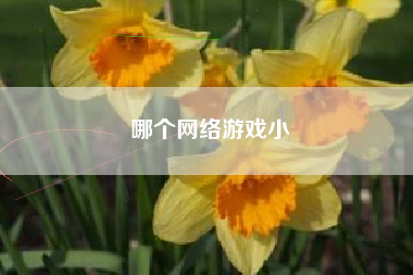 哪个网络游戏小