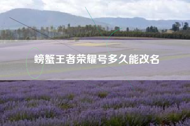 螃蟹王者荣耀号多久能改名