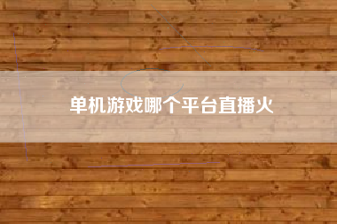 单机游戏哪个平台直播火