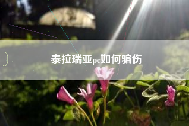 泰拉瑞亚pc如何骗伤