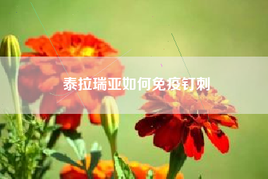 泰拉瑞亚如何免疫钉刺