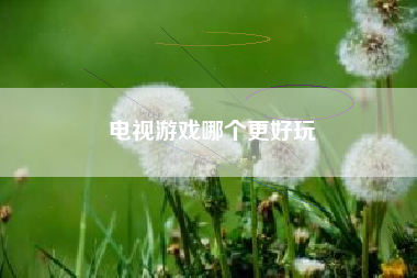 电视游戏哪个更好玩