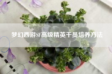 梦幻西游SF高级精英干员培养方法