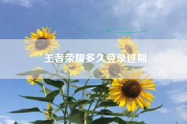 王者荣耀多久登录过期