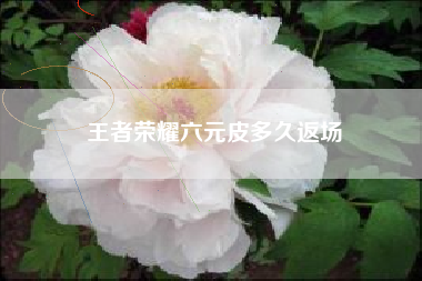 王者荣耀六元皮多久返场