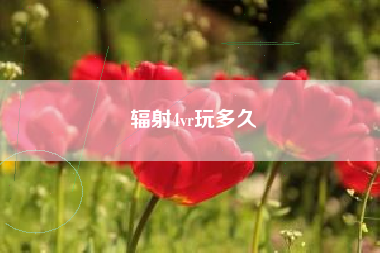 辐射4vr玩多久