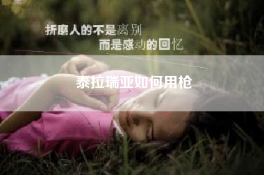泰拉瑞亚如何用枪