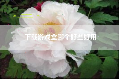 下载游戏盒哪个好些好用