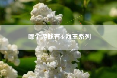 哪个游戏有dc海王系列