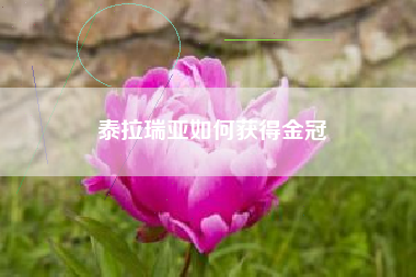 泰拉瑞亚如何获得金冠