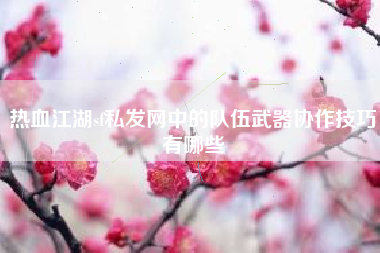 热血江湖sf私发网中的队伍武器协作技巧有哪些