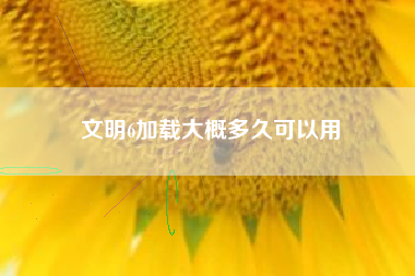 文明6加载大概多久可以用