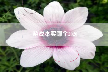 游戏本买哪个2020