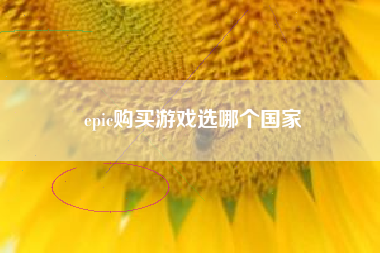 epic购买游戏选哪个国家
