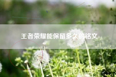 王者荣耀能保留多久的铭文