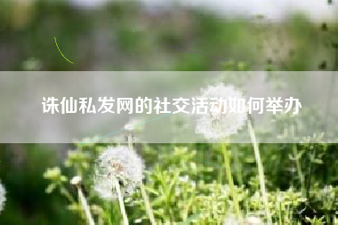 诛仙私发网的社交活动如何举办