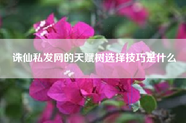 诛仙私发网的天赋树选择技巧是什么