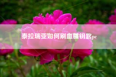 泰拉瑞亚如何刷血腥钥匙pc