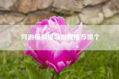 网游模拟猫咪游戏推荐哪个