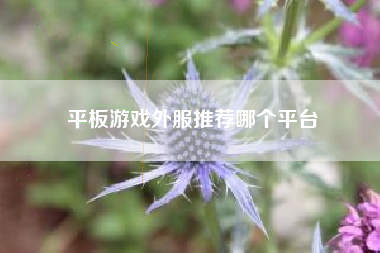 平板游戏外服推荐哪个平台