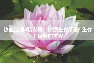 热血江湖sf私发网：冰原生存手册  生存于极寒的世界
