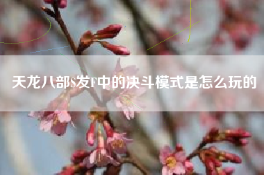 天龙八部S发F中的决斗模式是怎么玩的