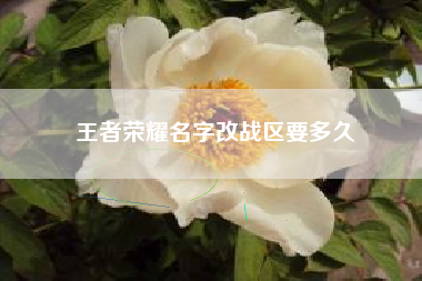 王者荣耀名字改战区要多久