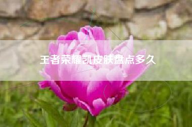 王者荣耀凯皮肤盘点多久