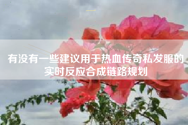 有没有一些建议用于热血传奇私发服的实时反应合成链路规划