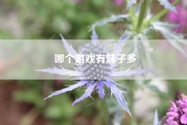 哪个游戏有妹子多