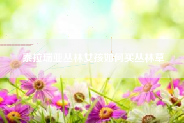 泰拉瑞亚丛林女孩如何买丛林草