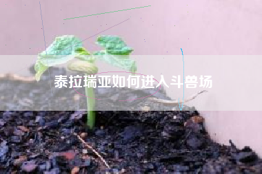 泰拉瑞亚如何进入斗兽场