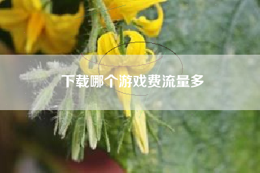 下载哪个游戏费流量多