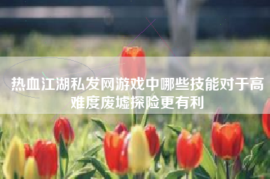 热血江湖私发网游戏中哪些技能对于高难度废墟探险更有利