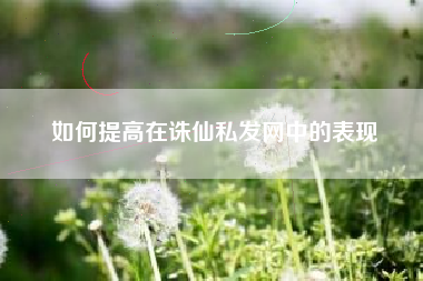 如何提高在诛仙私发网中的表现