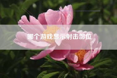 哪个游戏显示射击部位