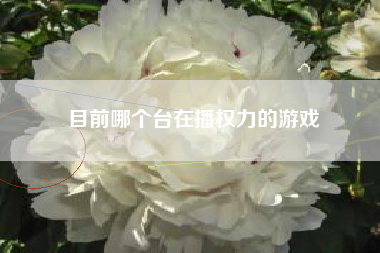目前哪个台在播权力的游戏