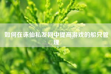 如何在诛仙私发网中提高游戏的船只管理