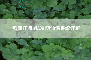 热血江湖sf私发网仙侣系统详解