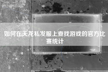 如何在天龙私发服上查找游戏的官方比赛统计
