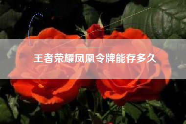 王者荣耀凤凰令牌能存多久