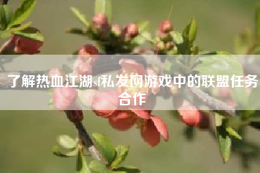 了解热血江湖sf私发网游戏中的联盟任务合作