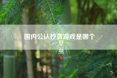 国内公认抄袭游戏是哪个